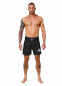 Preview: Pit Bull Trainingsshorts Performance Pro Plus AJP